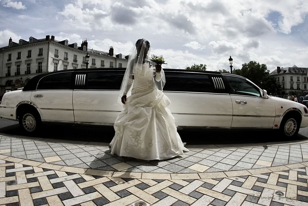 8230755968 b77b750bd7 o